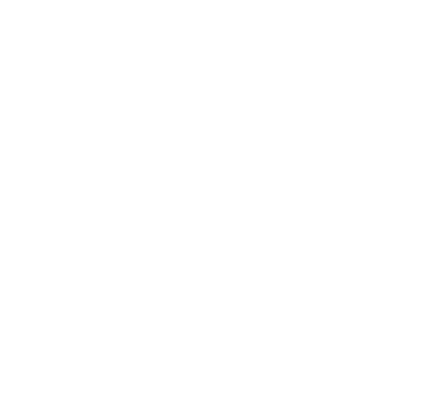 FRAMI